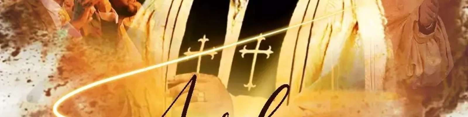 User Cover